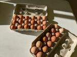 Farm Fresh Brown Eggs- Dozen or 18 Pack
